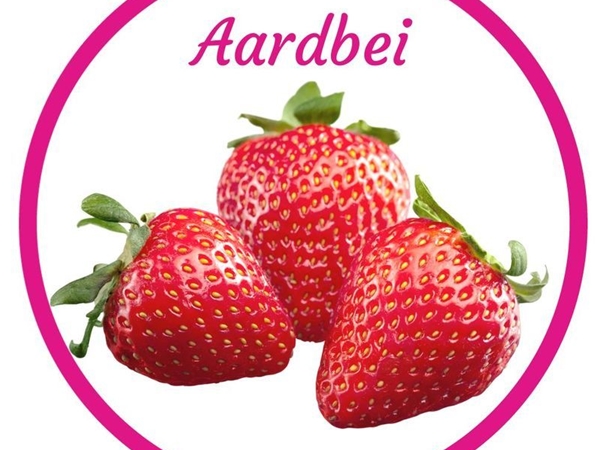 Aardbei SorbetIJS