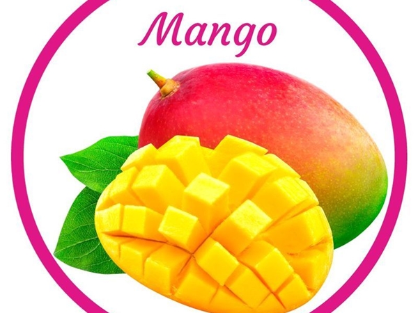 Mango SorbetIJS