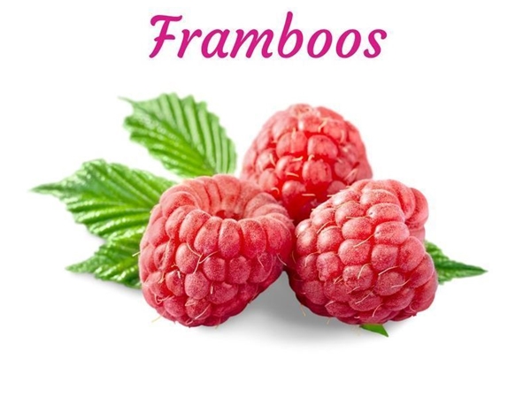 Frambozen SorbetIJS