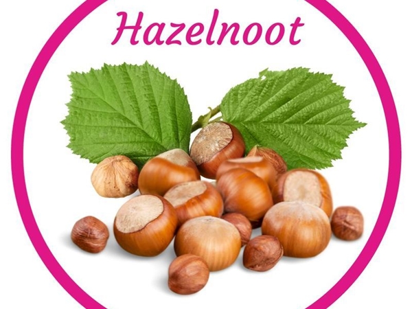 Hazelnoot IJS