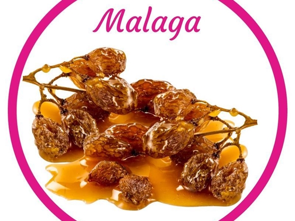 Malaga IJS